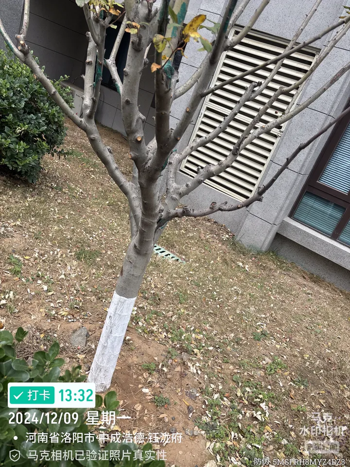 话题图片，点击查看大图