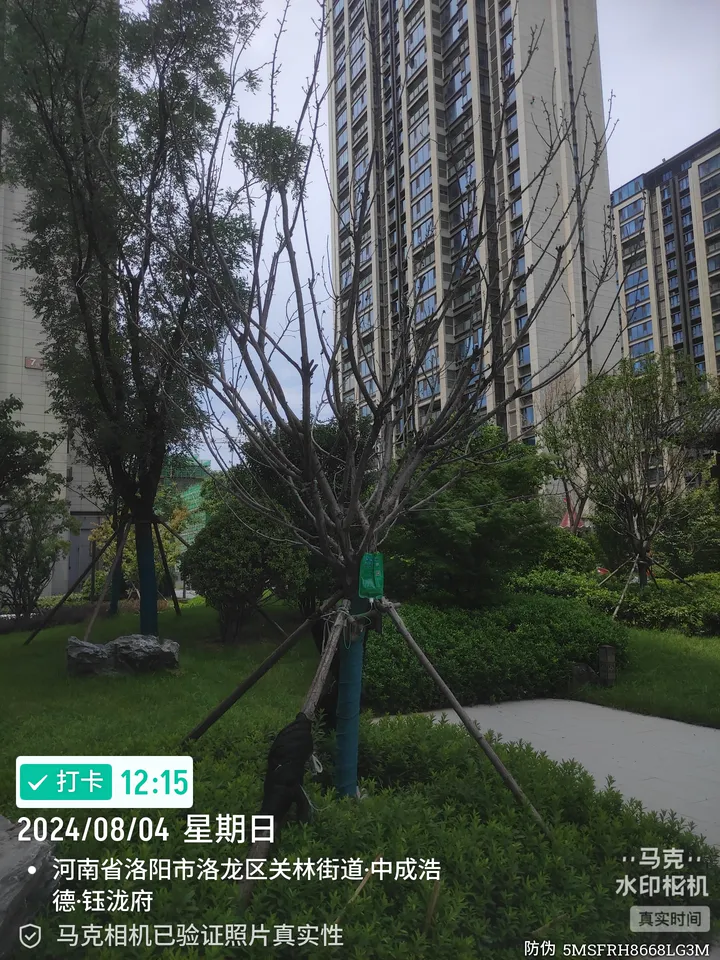 话题图片，点击查看大图