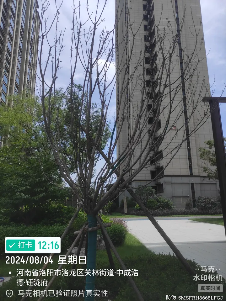 话题图片，点击查看大图