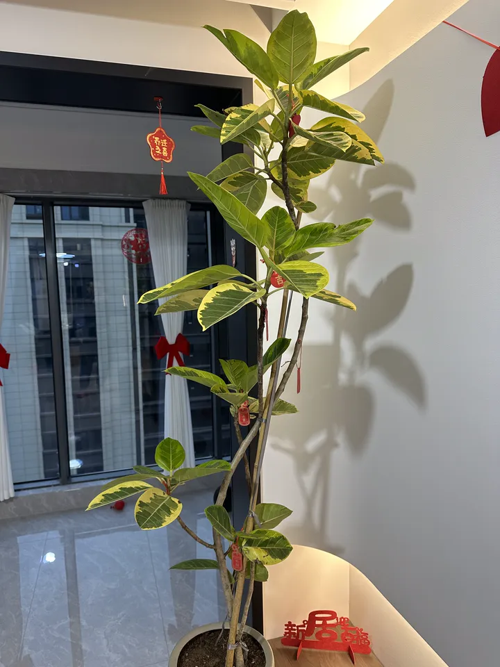 话题图片，点击查看大图