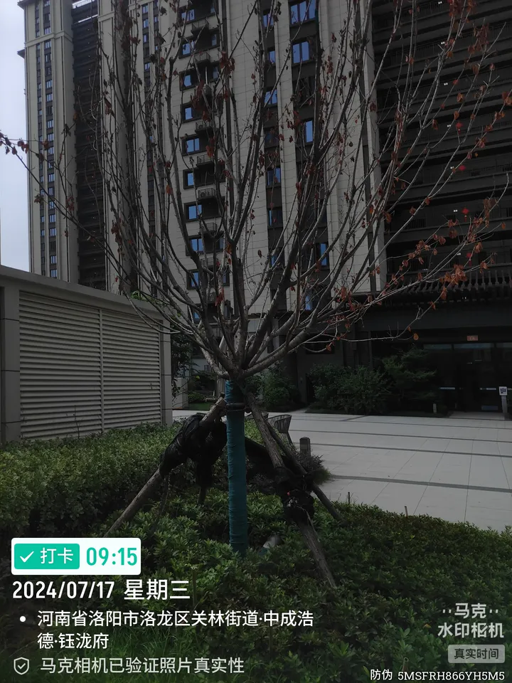 话题图片，点击查看大图