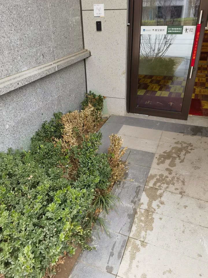 话题图片，点击查看大图