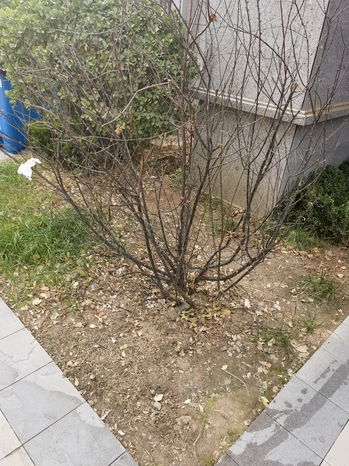 话题图片，点击查看大图