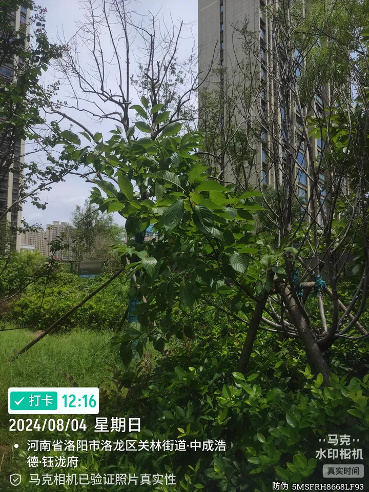 话题图片，点击查看大图
