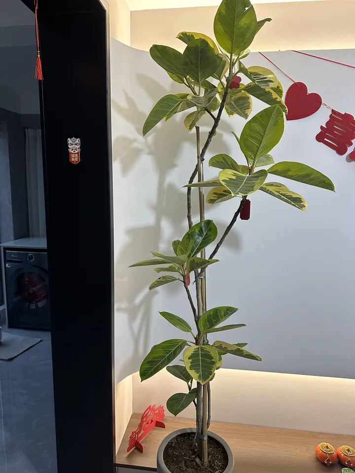 话题图片，点击查看大图