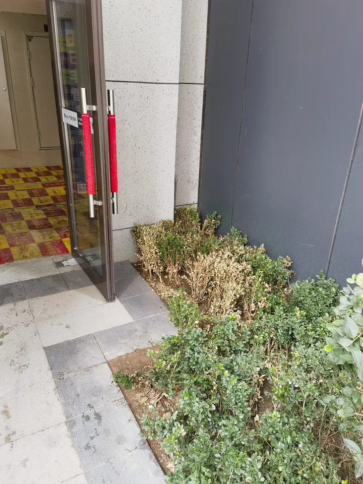 话题图片，点击查看大图