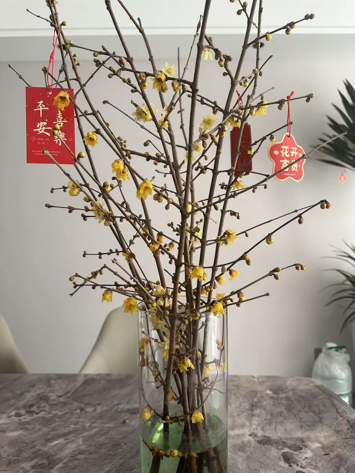 话题图片，点击查看大图