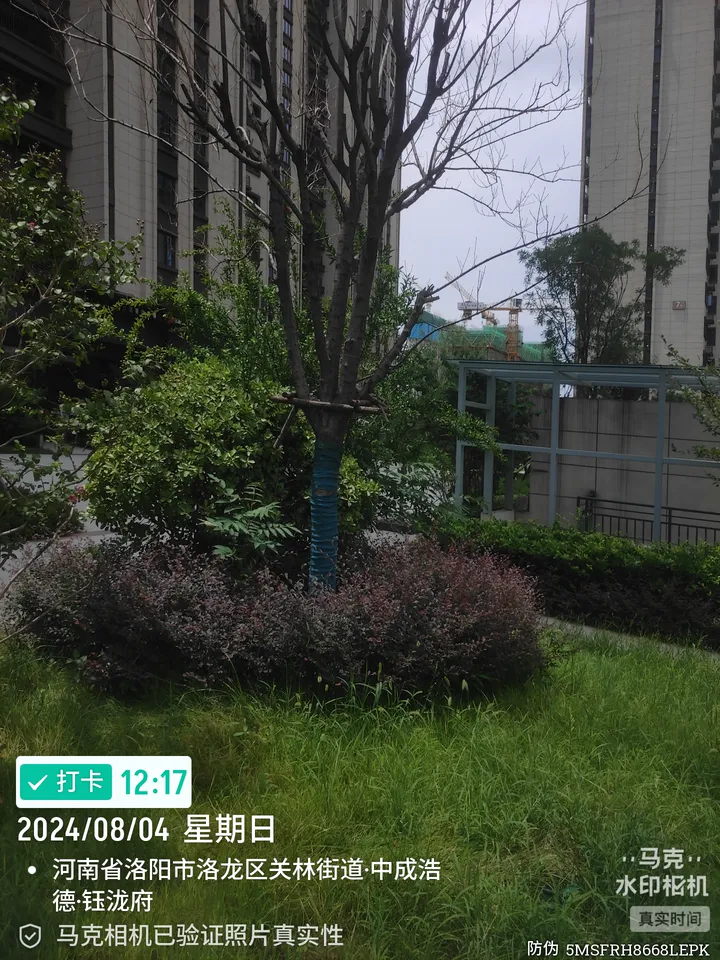 话题图片，点击查看大图