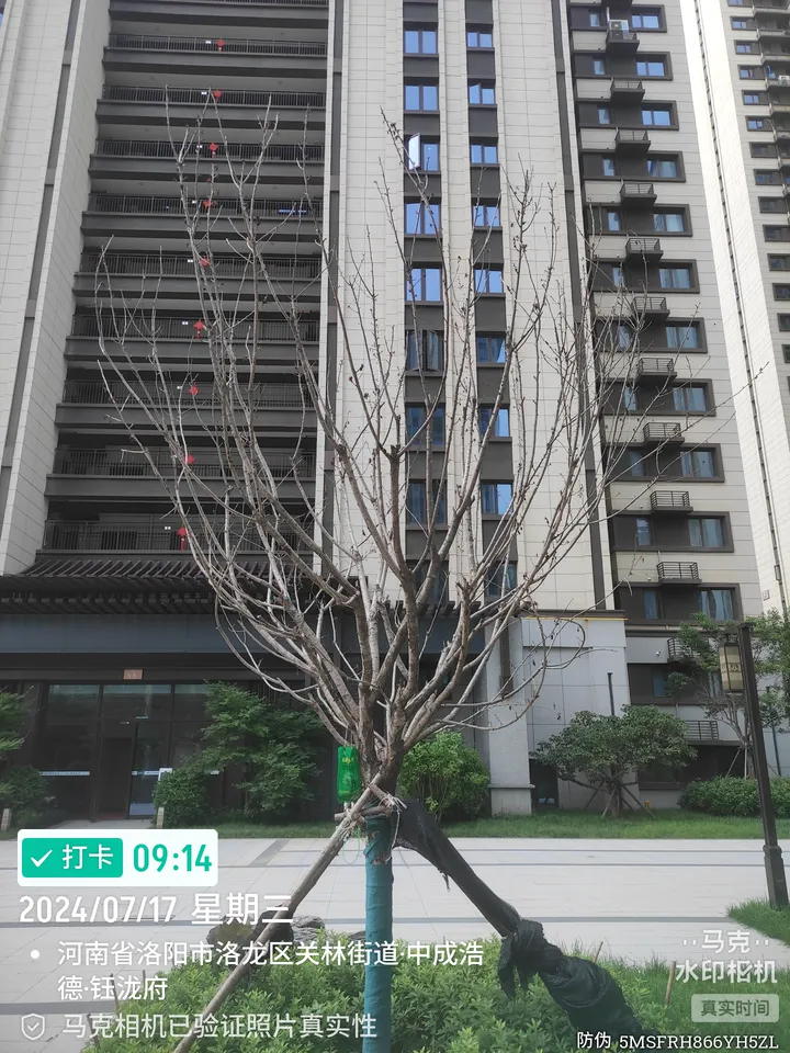 话题图片，点击查看大图
