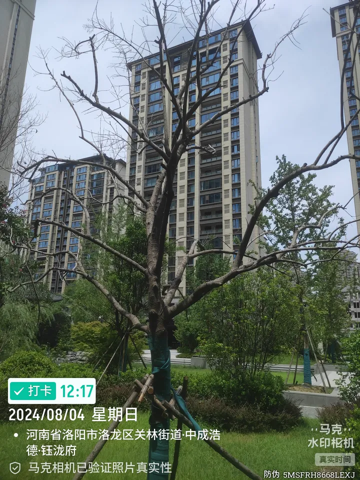 话题图片，点击查看大图