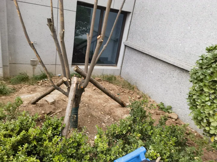 话题图片，点击查看大图